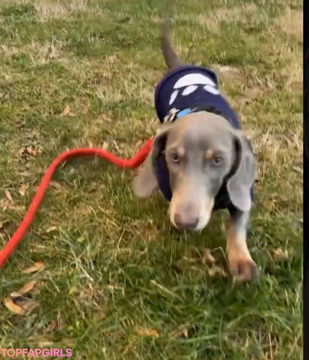 Foto desnuda filtrada de OnlyFans de Realtiffany #171 Foto desnuda filtrada de OnlyFans de Realtiffany #171