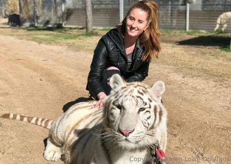 Tigerqueen