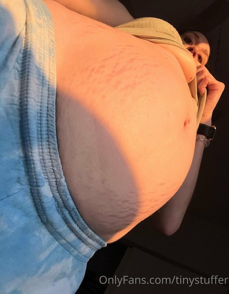 Foto desnuda filtrada de OnlyFans de Tinystuffer