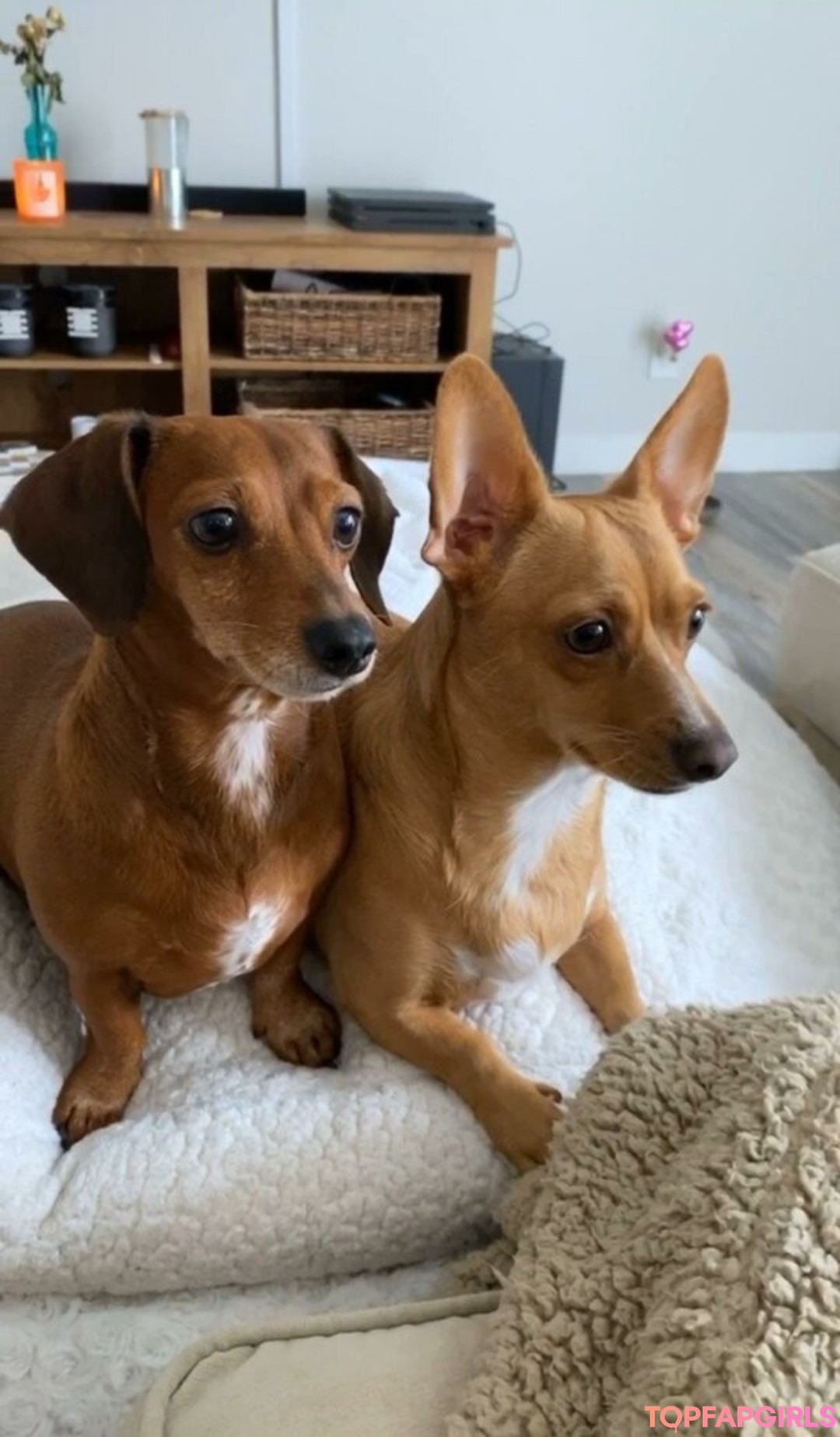 Foto desnuda filtrada de OnlyFans de Princess Mary #12 Foto desnuda filtrada de OnlyFans de Princess Mary #12