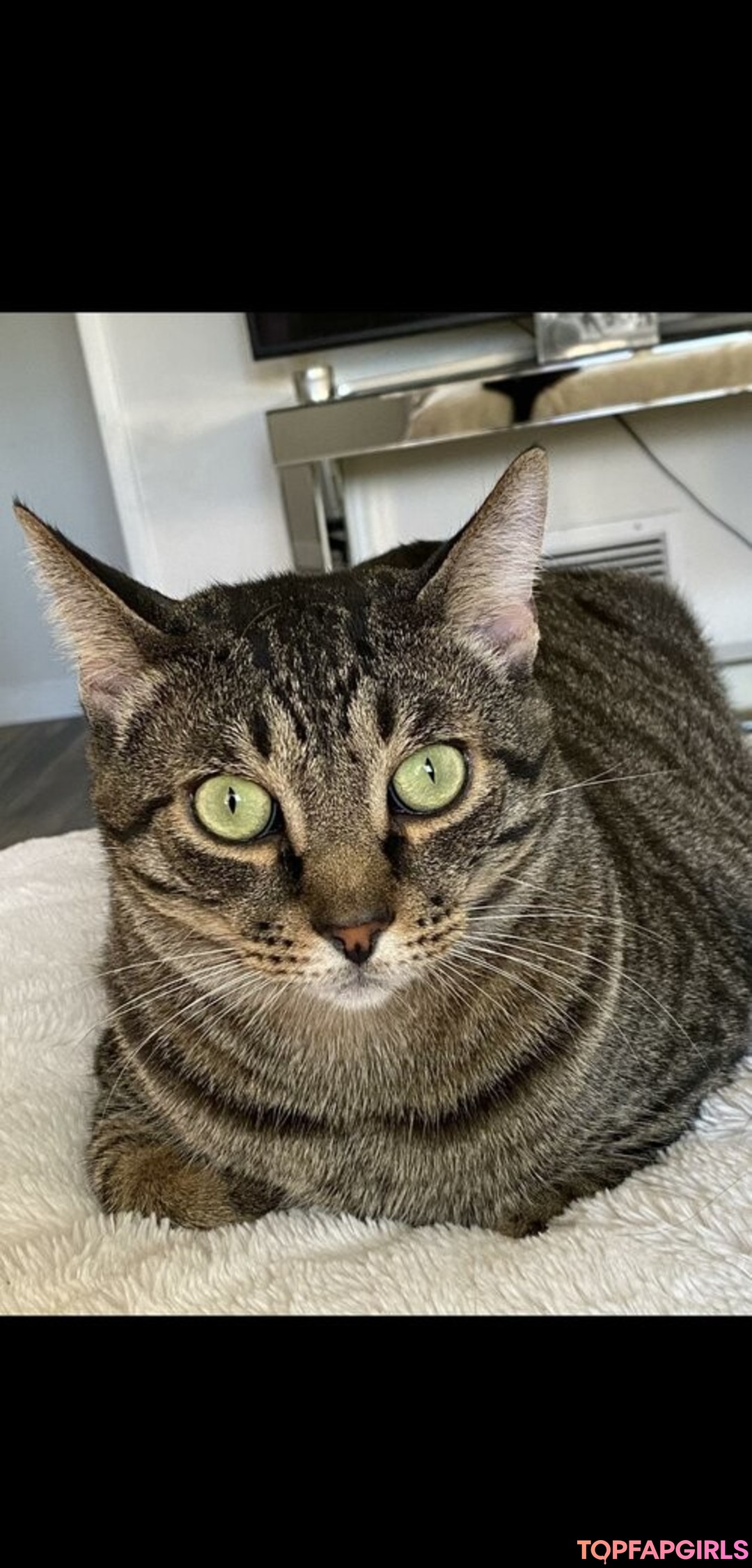 Foto desnuda filtrada de OnlyFans de Princess Mary #120 Foto desnuda filtrada de OnlyFans de Princess Mary #120