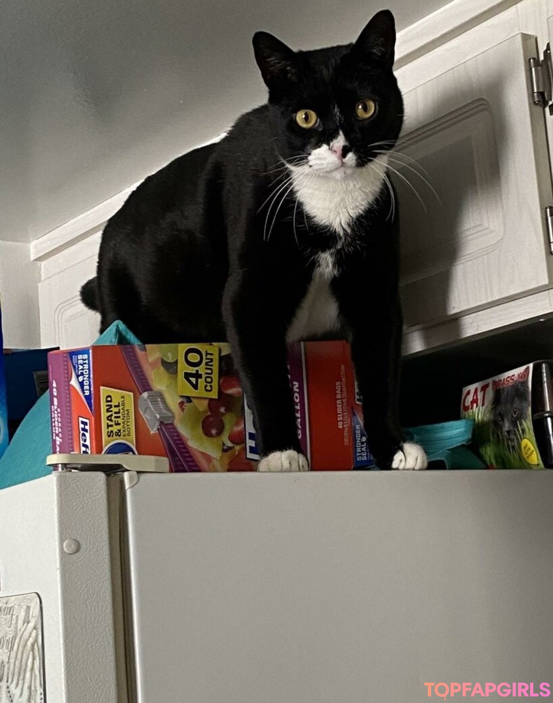 Foto desnuda filtrada de OnlyFans de Princess Mary #14 Foto desnuda filtrada de OnlyFans de Princess Mary #14