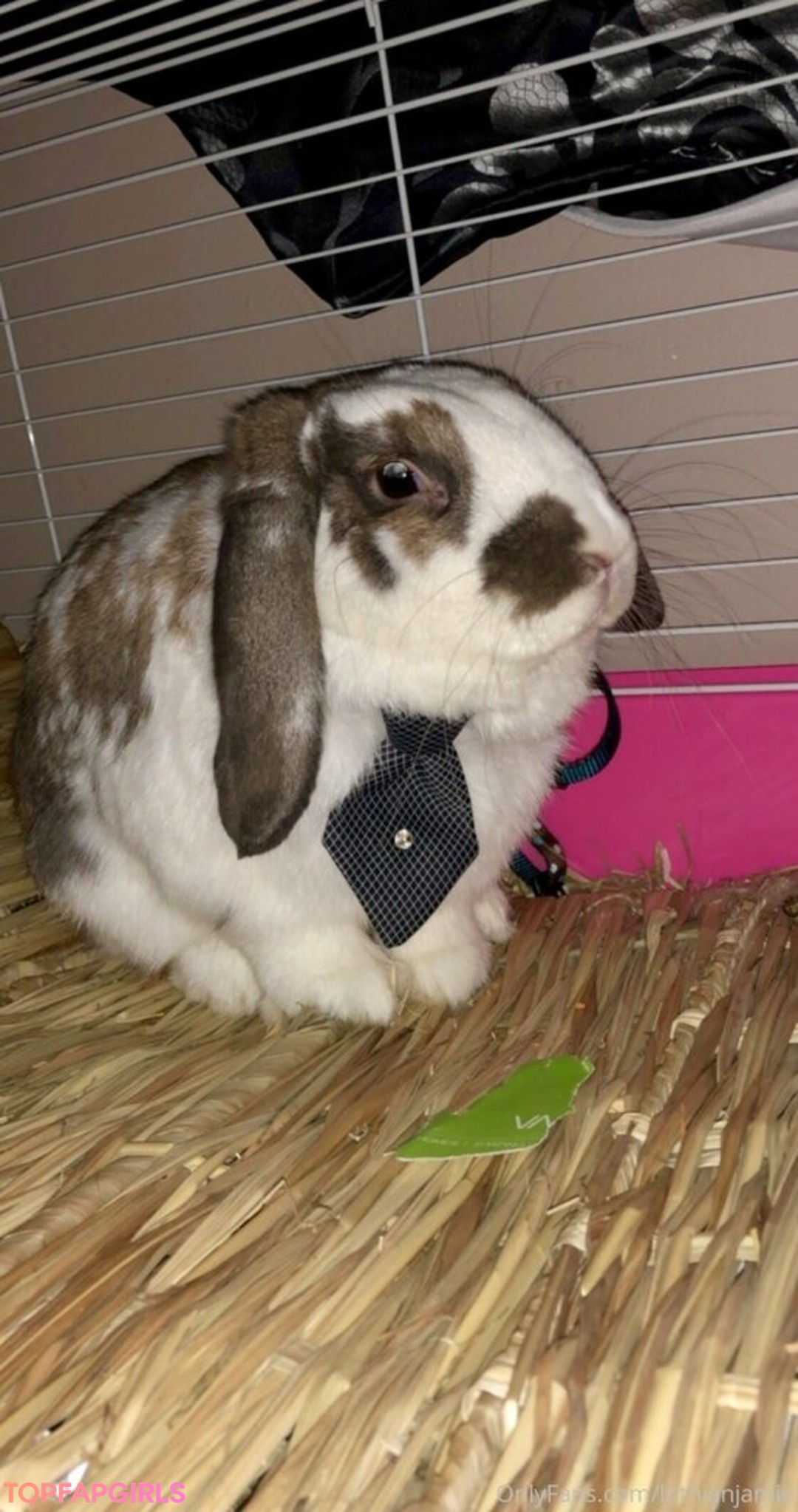 Foto desnuda filtrada de OnlyFans de Lothianjamie #81 Foto desnuda filtrada de OnlyFans de Lothianjamie #81