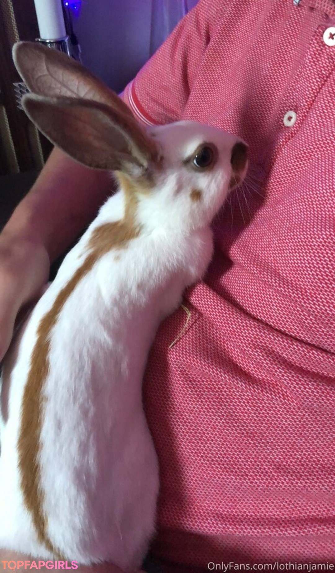 Foto desnuda filtrada de OnlyFans de Lothianjamie #82 Foto desnuda filtrada de OnlyFans de Lothianjamie #82