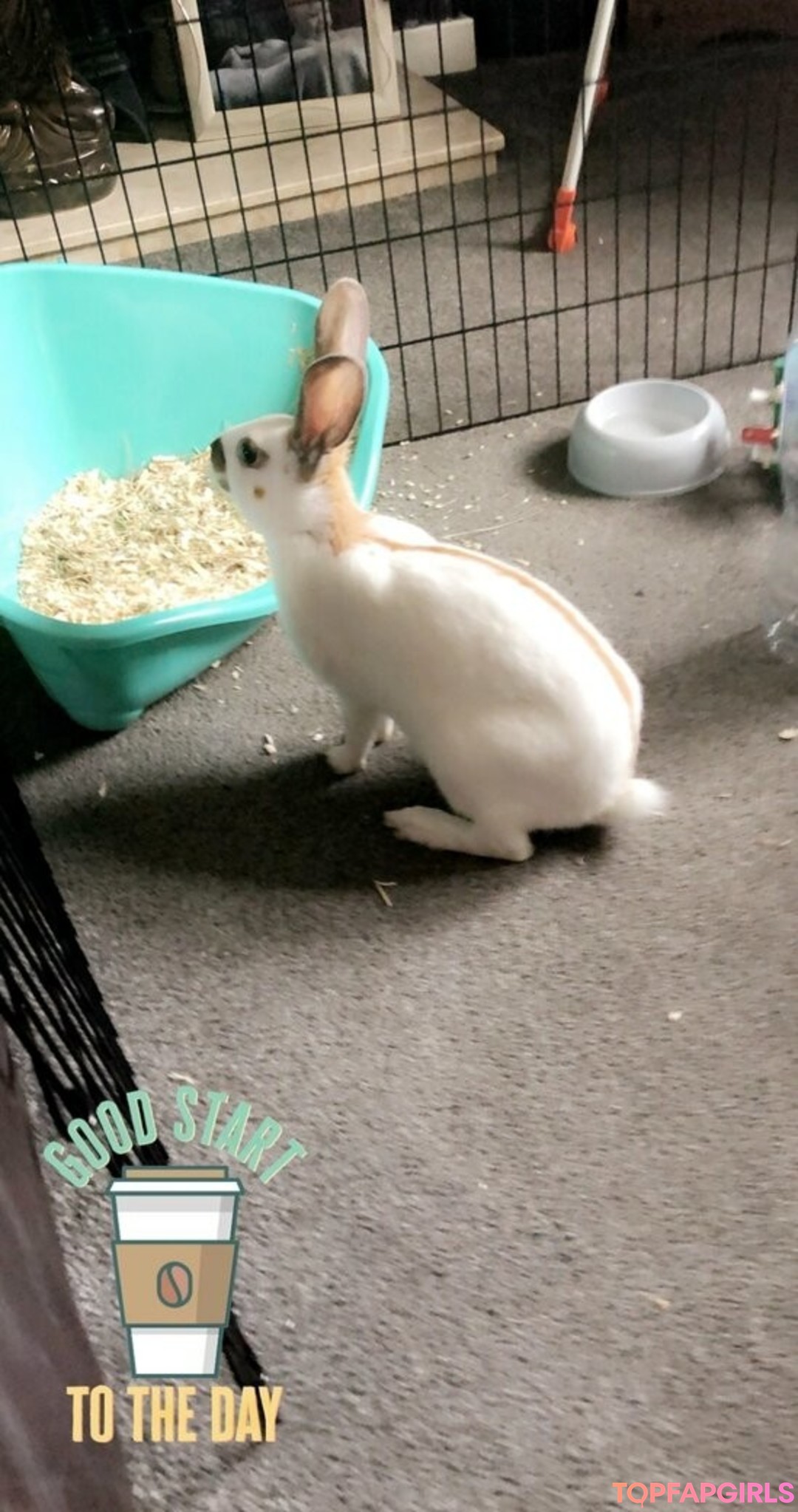 Foto desnuda filtrada de OnlyFans de Lothianjamie #87 Foto desnuda filtrada de OnlyFans de Lothianjamie #87