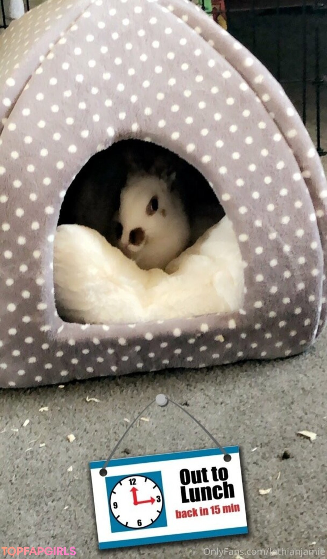 Foto desnuda filtrada de OnlyFans de Lothianjamie #88 Foto desnuda filtrada de OnlyFans de Lothianjamie #88