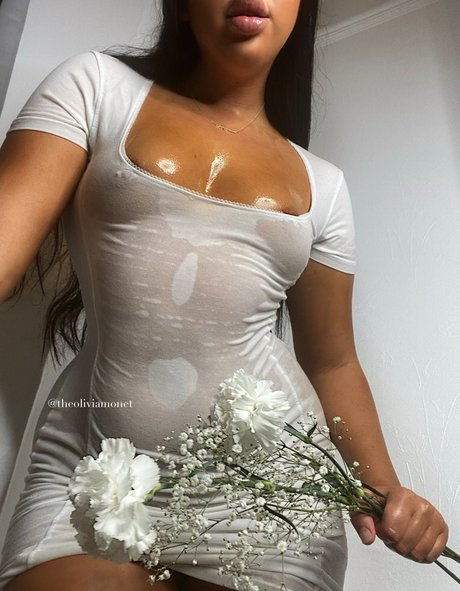 Theoliviamonet