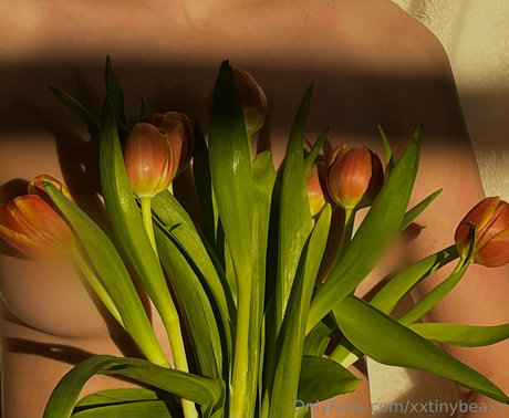 Foto desnuda filtrada de OnlyFans de Xxtinybeaxx