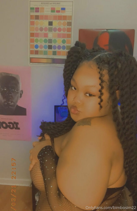 Bimbosim22