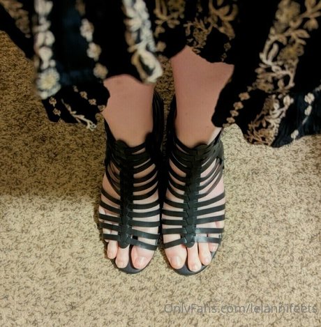 Lelannifeets