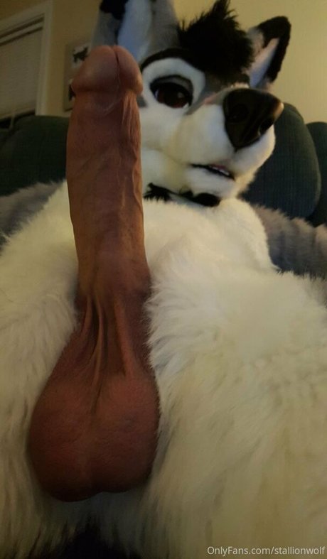 Stallionwolf