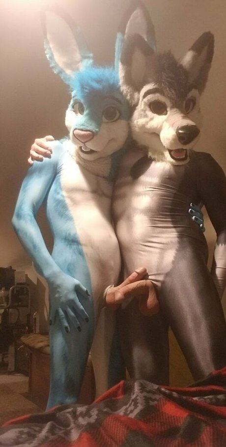Stallionwolf