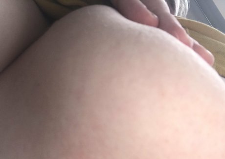 Bigbadbee