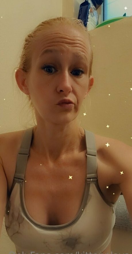 Kittenplays