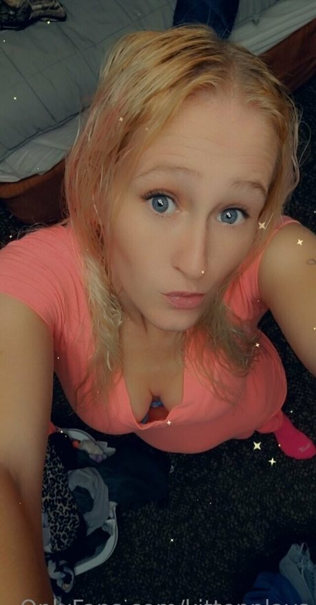 Kittenplays