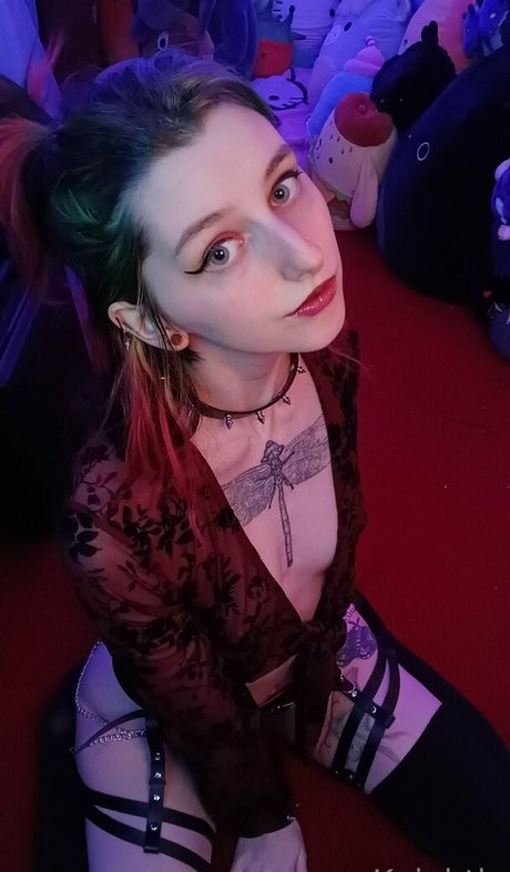 Edgykittykat