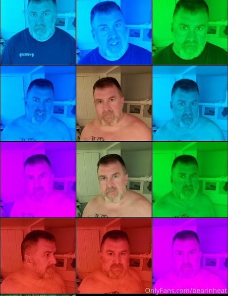 Bearinheat