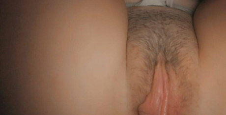 Bzbckup