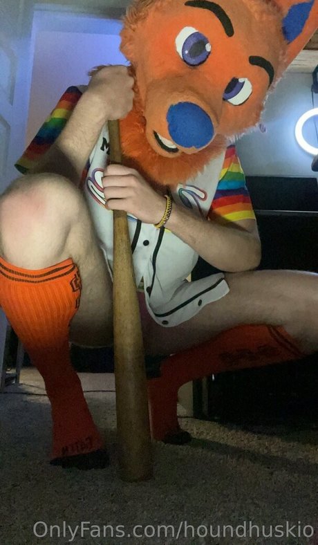 Houndhuskio