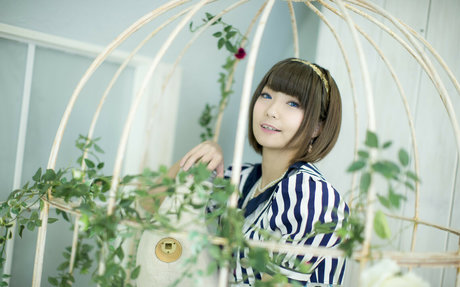 Ayame_apricot