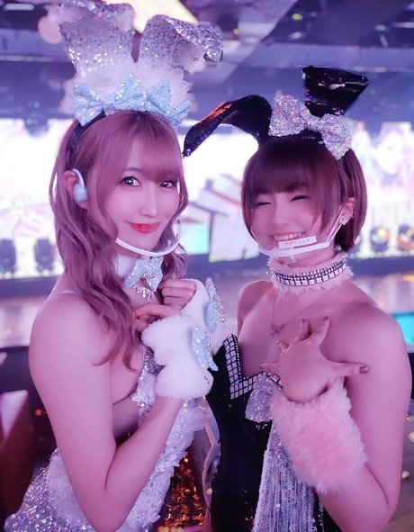 Ayame_apricot