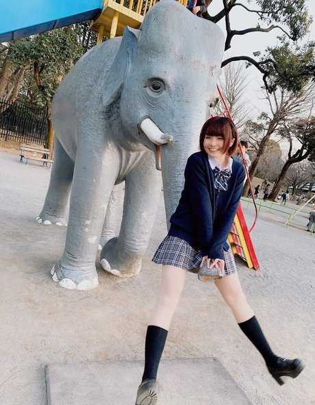 Ayame_apricot