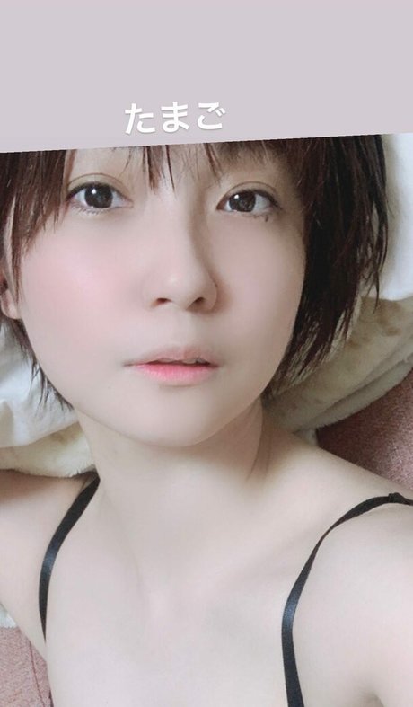 Ayame_apricot
