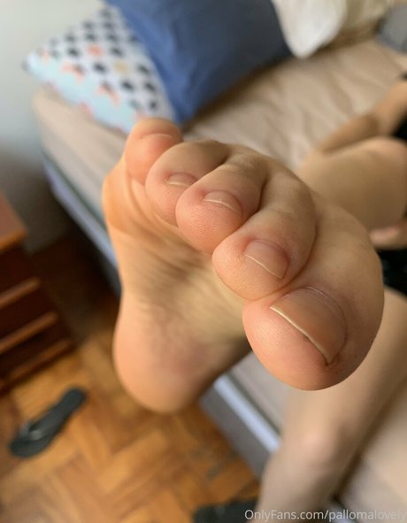 Pallomalovely
