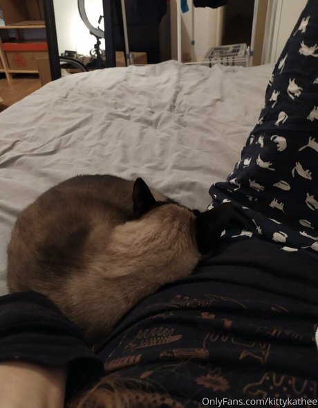 Kittykathee