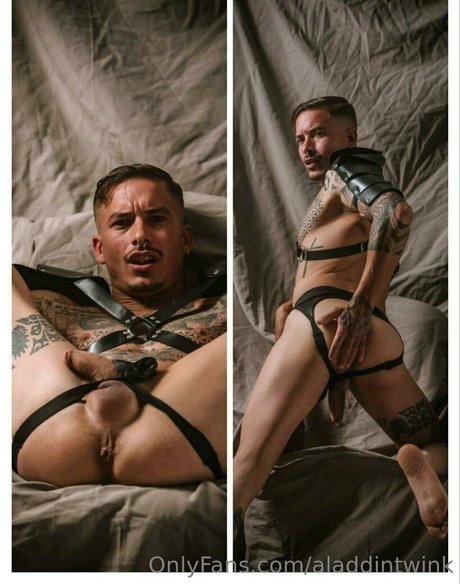 Aladdintwink