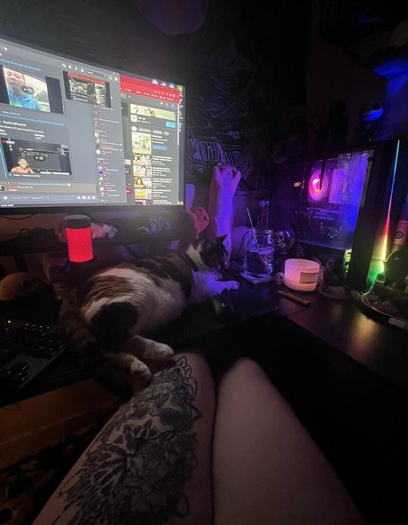 Kitty Titty