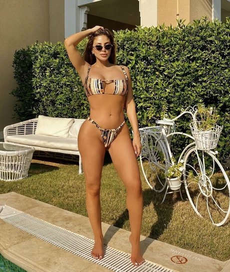 Larsapippen