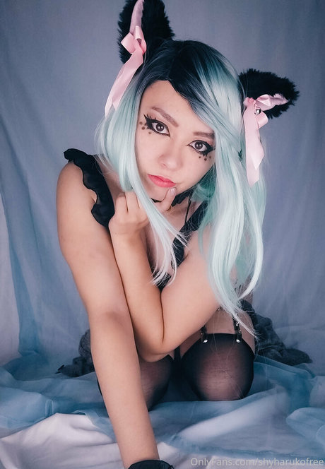 Shyharukofree