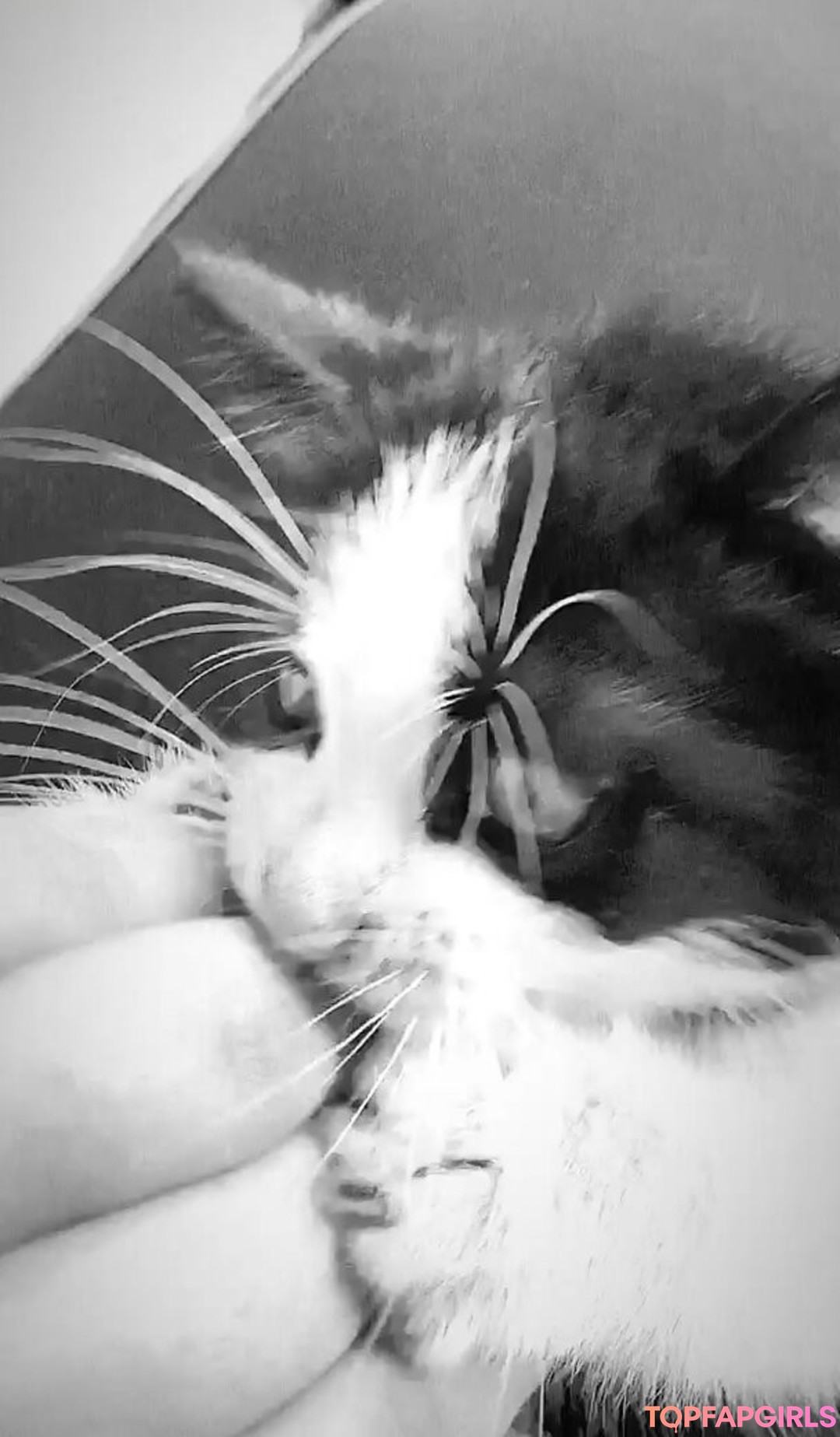 Foto desnuda filtrada de OnlyFans de Emina Jahi #420 Foto desnuda filtrada de OnlyFans de Emina Jahi #420