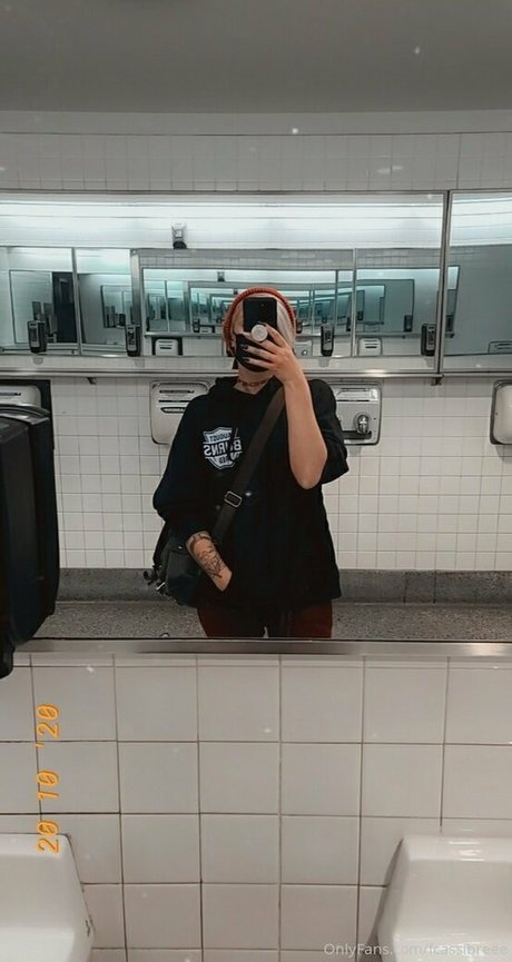 Fcassibreee