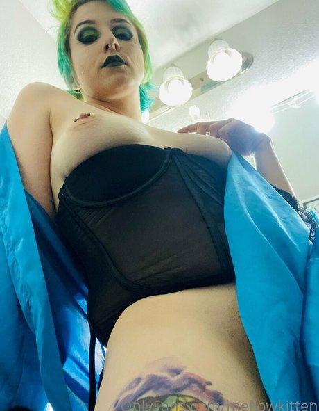 Mellowkitten